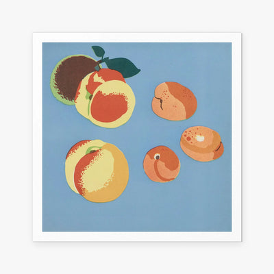 Frutti, Tav. 9 - Elena Pavlovna Gertik, opera di Elena Pavlovna Gertik (Illustrazione), stampa artistica su carta, 80x80cm