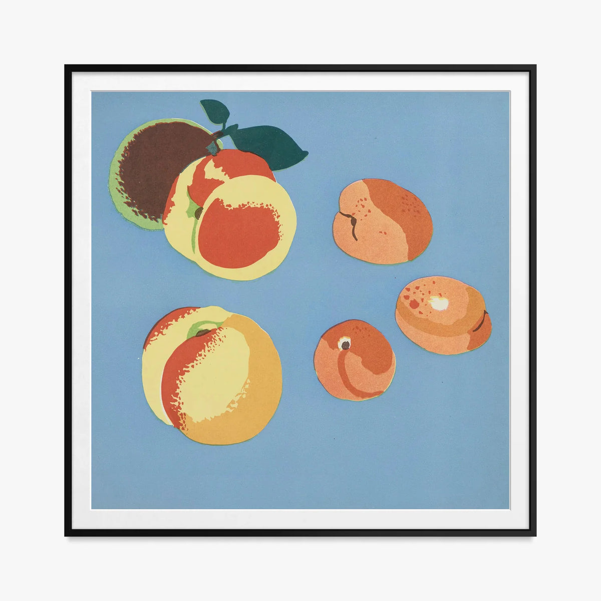 Frutti, Tav. 9 - Elena Pavlovna Gertik, opera di Elena Pavlovna Gertik (Illustrazione), stampa con passepartout e cornice nera, 80x80cm