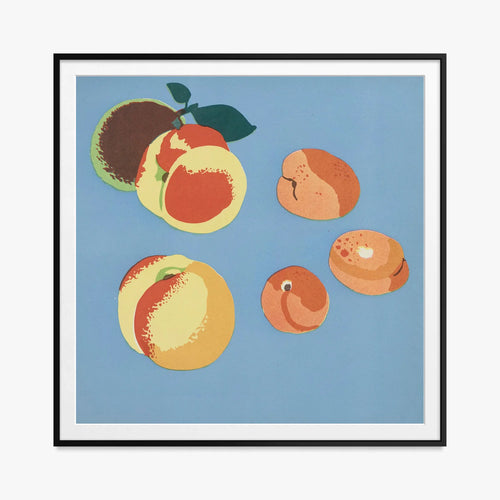 Fruits, Plate 9 - Elena Pavlovna Gertik