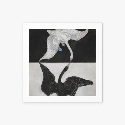 Il Cigno, n. 1 - Hilma af Klint, opera di Hilma af Klint (Astrattismo), stampa artistica su carta, 50x50cm