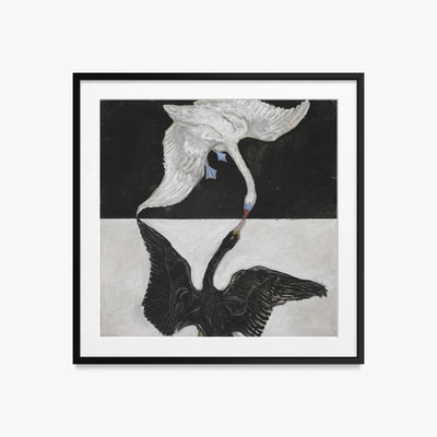Il Cigno, n. 1 - Hilma af Klint, opera di Hilma af Klint (Astrattismo), stampa con passepartout e cornice nera, 50x50cm