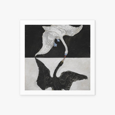 Il Cigno, n. 1 - Hilma af Klint, opera di Hilma af Klint (Astrattismo), stampa artistica su carta, 60x60cm