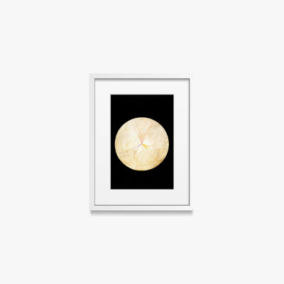Il Cigno, n. 14 - Hilma af Klint, opera di Hilma af Klint (Astrattismo), stampa con passepartout e cornice bianca, 30x40cm