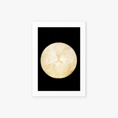 Il Cigno, n. 14 - Hilma af Klint, opera di Hilma af Klint (Astrattismo), stampa artistica su carta, 50x70cm
