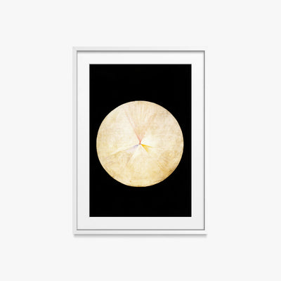 Il Cigno, n. 14 - Hilma af Klint, opera di Hilma af Klint (Astrattismo), stampa con passepartout e cornice bianca, 50x70cm
