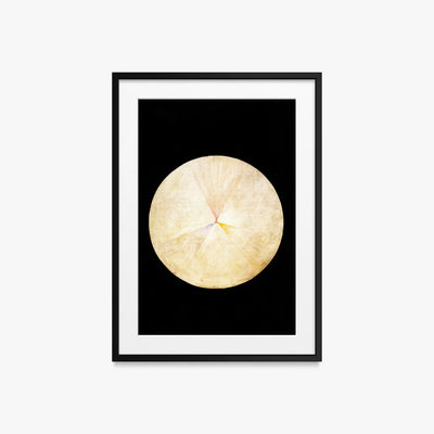 Il Cigno, n. 14 - Hilma af Klint, opera di Hilma af Klint (Astrattismo), stampa con passepartout e cornice nera, 50x70cm