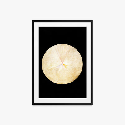 Il Cigno, n. 14 - Hilma af Klint, opera di Hilma af Klint (Astrattismo), stampa con passepartout e cornice nera, 60x85cm