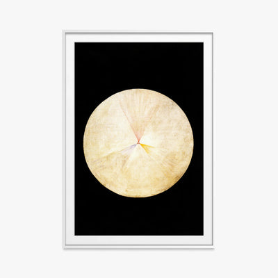 Il Cigno, n. 14 - Hilma af Klint, opera di Hilma af Klint (Astrattismo), stampa con passepartout e cornice bianca, 80x115cm