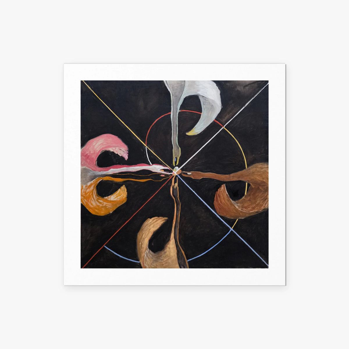 Il Cigno, n. 7 - Hilma af Klint, opera di Hilma af Klint (Astrattismo), stampa artistica su carta, 50x50cm