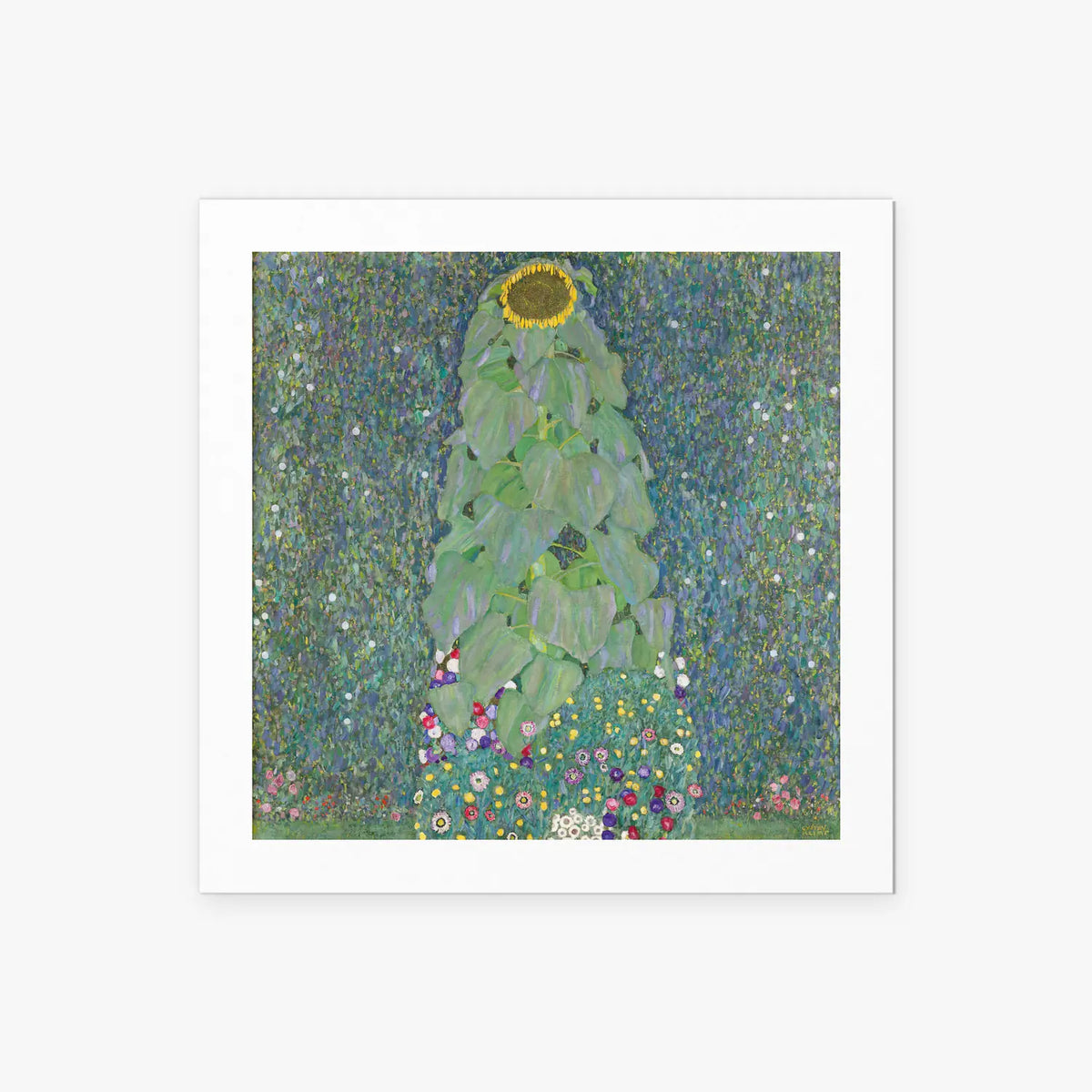 Il Girasole - Gustav Klimt, opera di Gustav Klimt (Secessione Viennese), stampa artistica su carta, 50x50cm