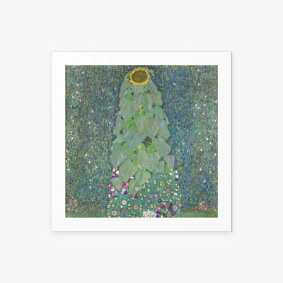 Il Girasole - Gustav Klimt, opera di Gustav Klimt (Secessione Viennese), stampa artistica su carta, 50x50cm