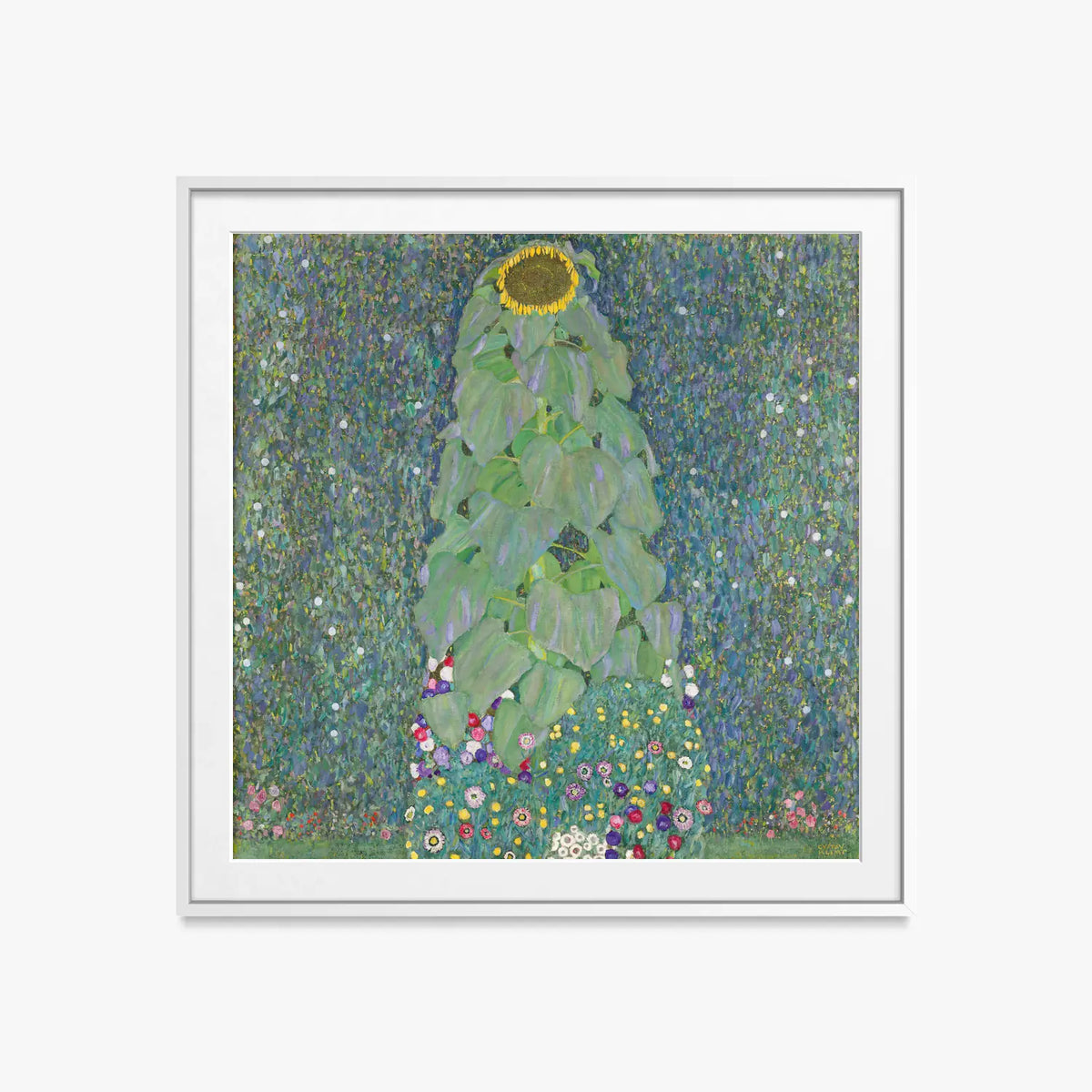 Il Girasole - Gustav Klimt, opera di Gustav Klimt (Secessione Viennese), stampa con passepartout e cornice bianca, 60x60cm