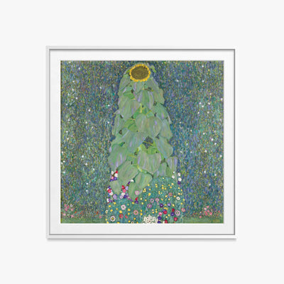 Il Girasole - Gustav Klimt, opera di Gustav Klimt (Secessione Viennese), stampa con passepartout e cornice bianca, 60x60cm