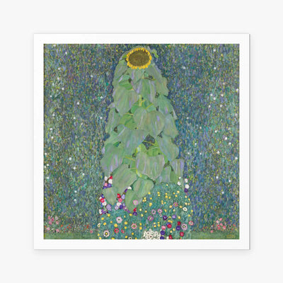 Il Girasole - Gustav Klimt, opera di Gustav Klimt (Secessione Viennese), stampa artistica su carta, 80x80cm