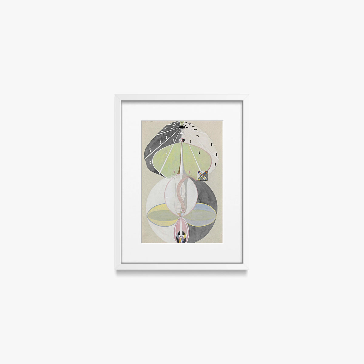 L'Albero della Conoscenza, n. 5 - Hilma af Klint, opera di Hilma af Klint (Astrattismo), stampa con passepartout e cornice bianca, 30x40cm