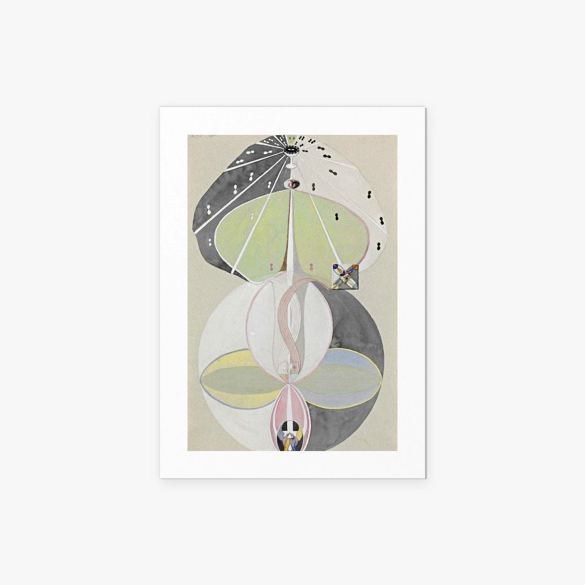 L'Albero della Conoscenza, n. 5 - Hilma af Klint, opera di Hilma af Klint (Astrattismo), stampa artistica su carta, 50x70cm