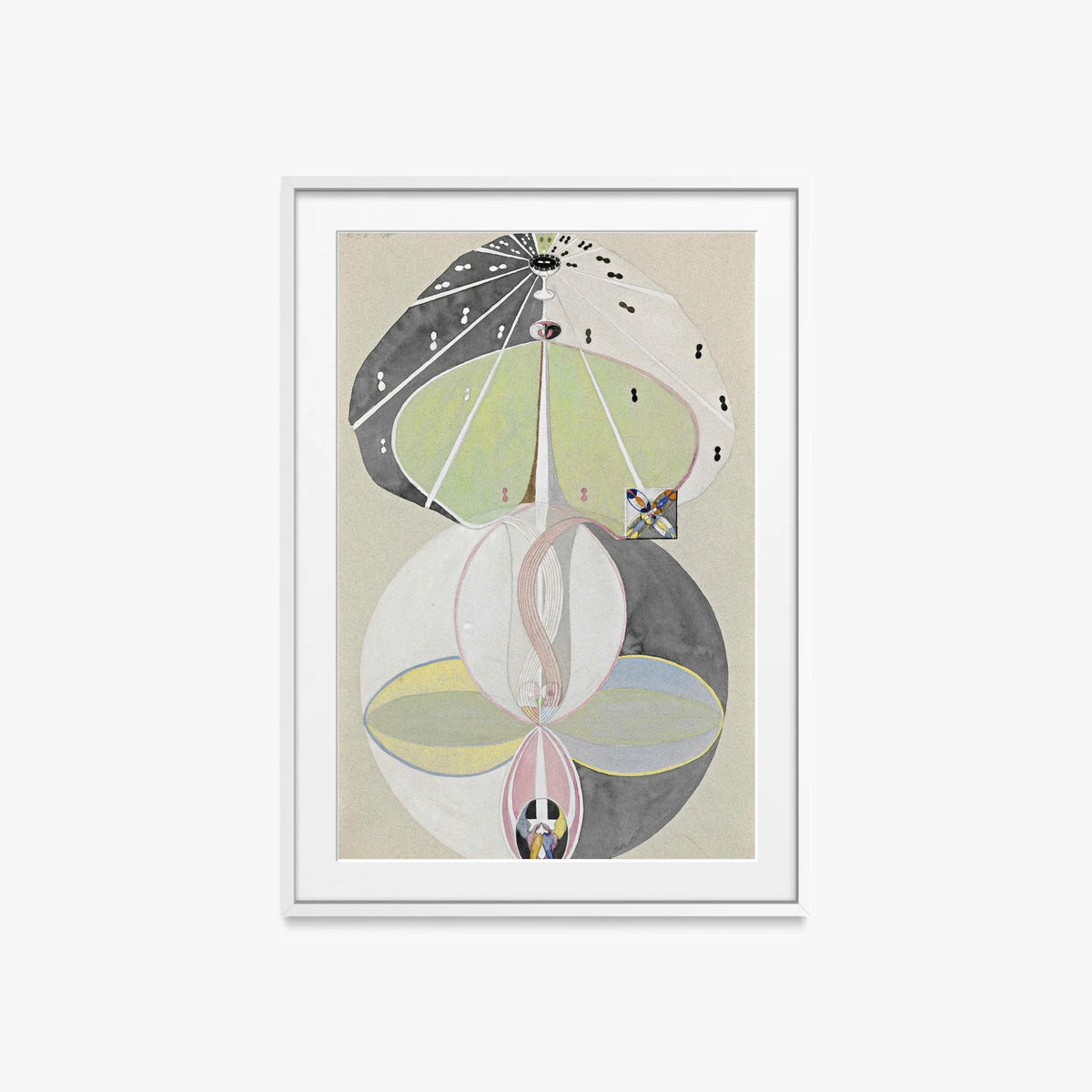L'Albero della Conoscenza, n. 5 - Hilma af Klint, opera di Hilma af Klint (Astrattismo), stampa con passepartout e cornice bianca, 60x85cm