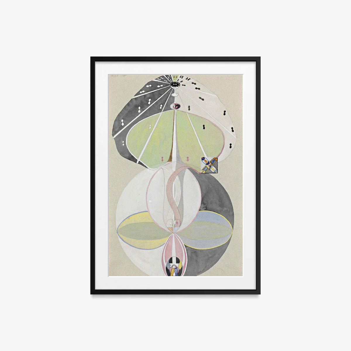 L'Albero della Conoscenza, n. 5 - Hilma af Klint, opera di Hilma af Klint (Astrattismo), stampa con passepartout e cornice nera, 60x85cm