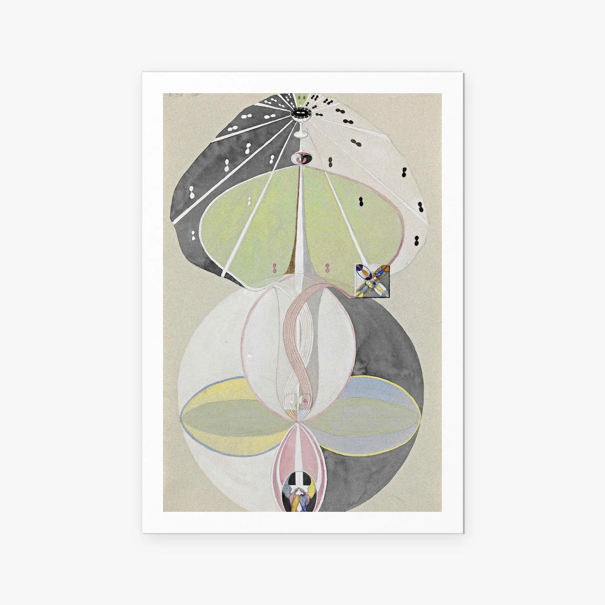 L'Albero della Conoscenza, n. 5 - Hilma af Klint, opera di Hilma af Klint (Astrattismo), stampa artistica su carta, 80x115cm