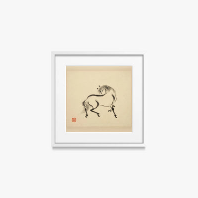 Libro Illustrato dei Cavalli, Tav. 2 - Tsurusawa Tansaku, opera di Tsurusawa Tansaku (Ukiyo-e), stampa con passepartout e cornice bianca, 40x40cm