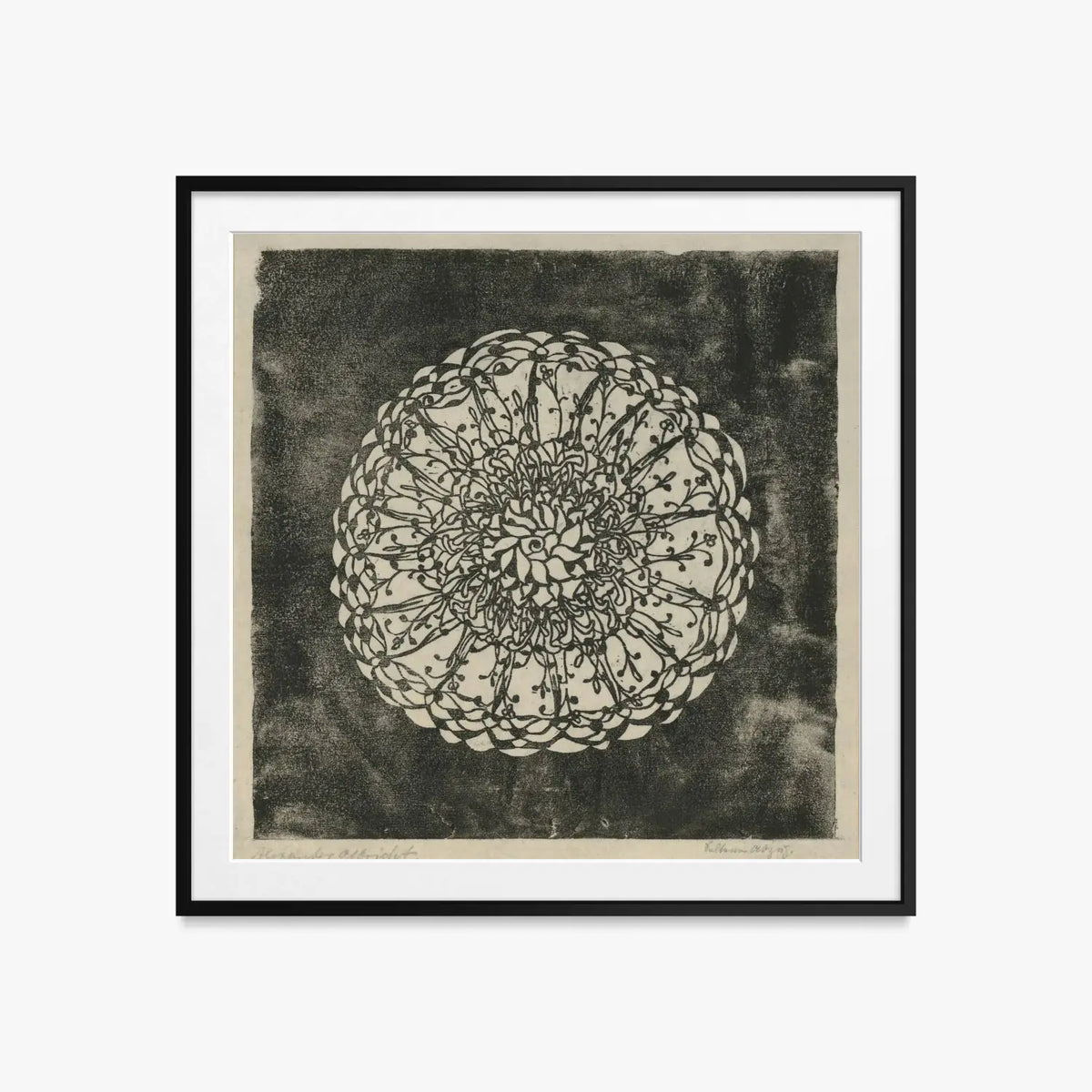 Piante e Ornamento Vegetale - Alexander Olbricht, opera di Alexander Olbricht (Art Nouveau), stampa con passepartout e cornice nera, 60x60cm