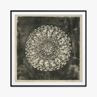Piante e Ornamento Vegetale - Alexander Olbricht, opera di Alexander Olbricht (Art Nouveau), stampa con passepartout e cornice nera, 80x80cm